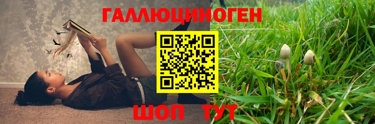 Кулебаки  магазин  наркотиков  Вход с VPN  Галлюциногенные грибы мухоморы 